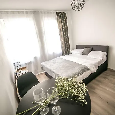 Friendly In Apartment Prag
