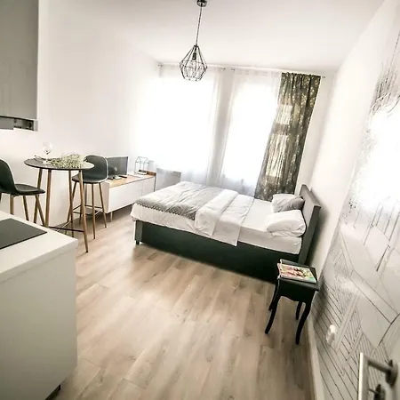 Friendly In Apartment Prague