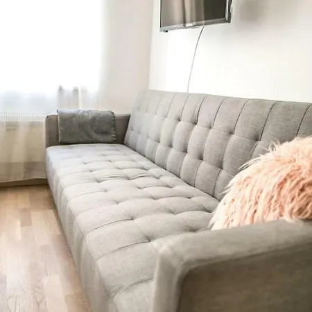 Friendly In Apartment Prague